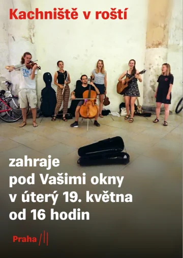 Kachniště v roští